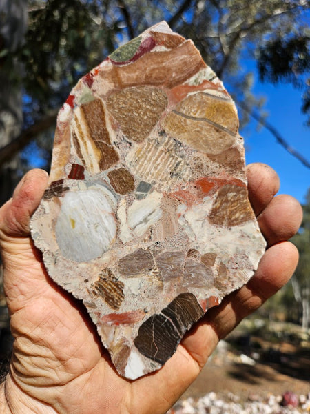 Polished Marillana Conglomerate slab MC123