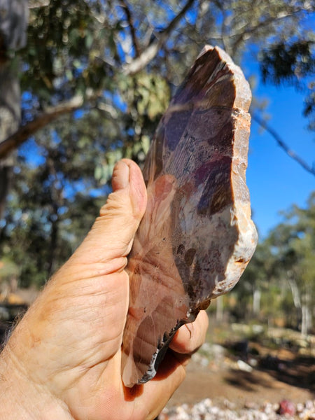 Polished Marillana Conglomerate slab MC123