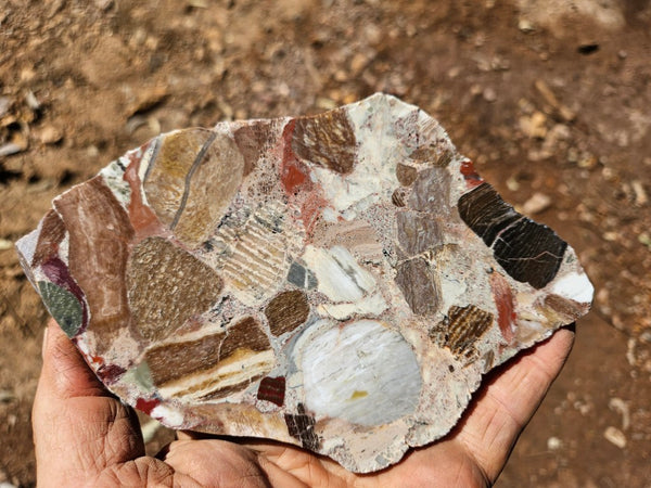 Polished Marillana Conglomerate slab MC123
