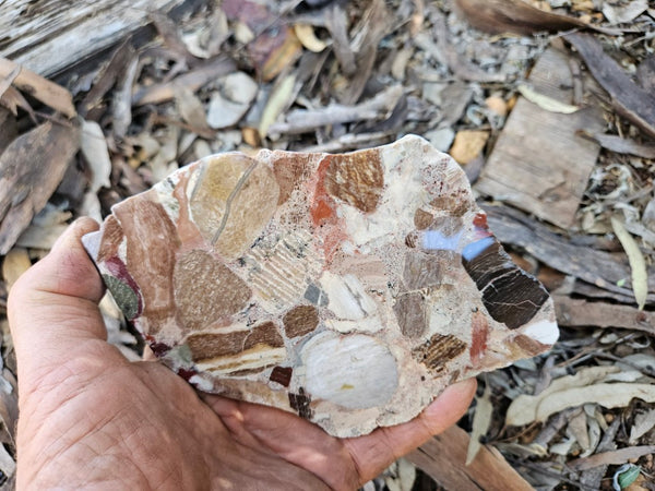 Polished Marillana Conglomerate slab MC123