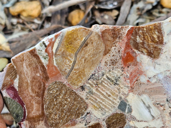 Polished Marillana Conglomerate slab MC123
