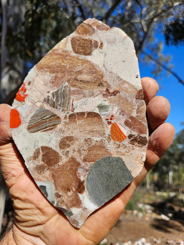 Polished Marillana Conglomerate slab MC122