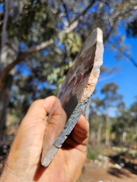 Polished Marillana Conglomerate slab MC122
