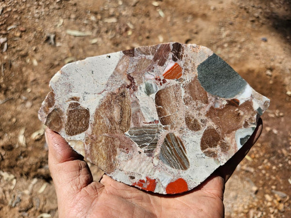 Polished Marillana Conglomerate slab MC122
