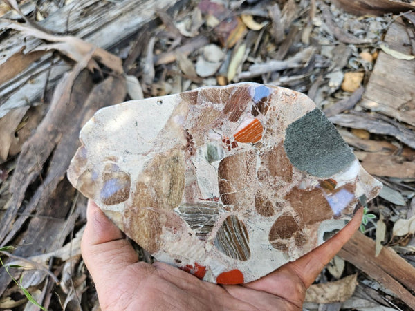Polished Marillana Conglomerate slab MC122