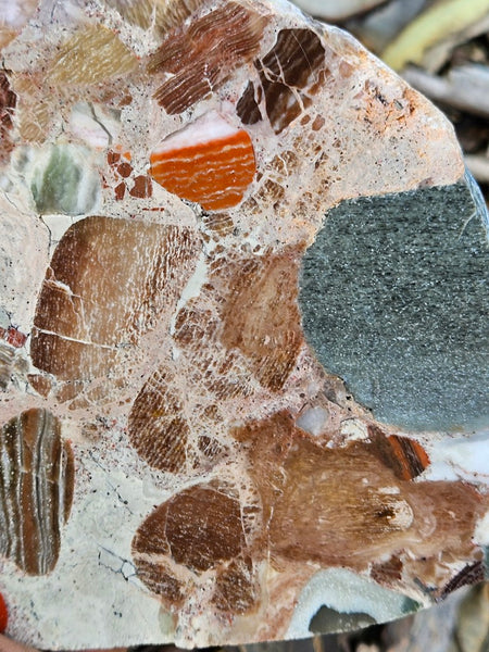 Polished Marillana Conglomerate slab MC122