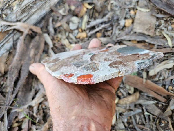 Polished Marillana Conglomerate slab MC122