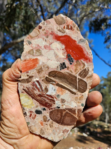 Polished Marillana Conglomerate slab MC121
