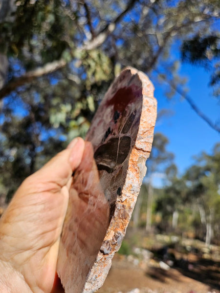 Polished Marillana Conglomerate slab MC121