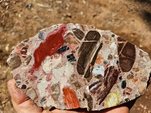 Polished Marillana Conglomerate slab MC121