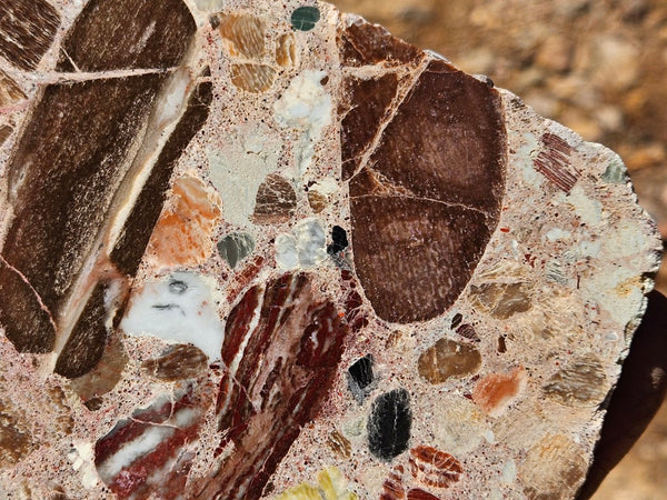 Polished Marillana Conglomerate slab MC121