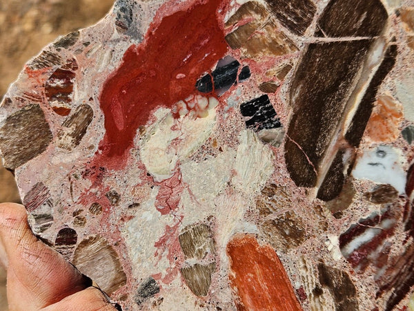 Polished Marillana Conglomerate slab MC121