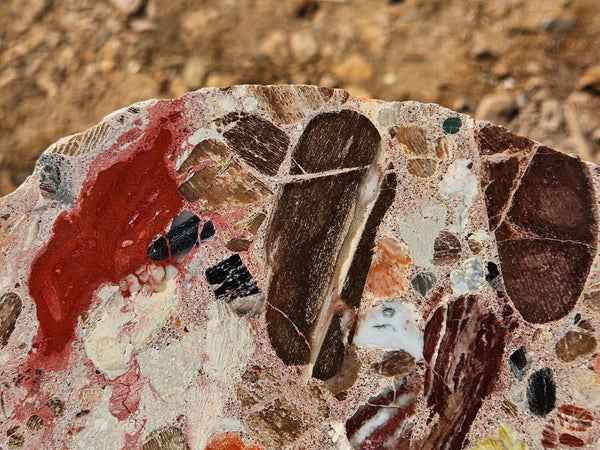 Polished Marillana Conglomerate slab MC121