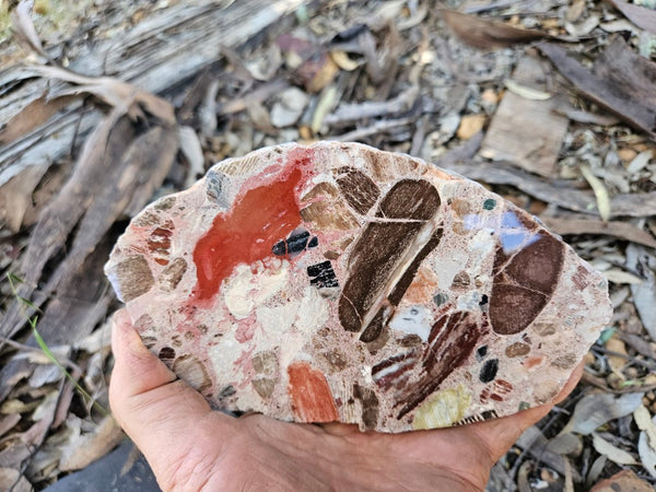 Polished Marillana Conglomerate slab MC121