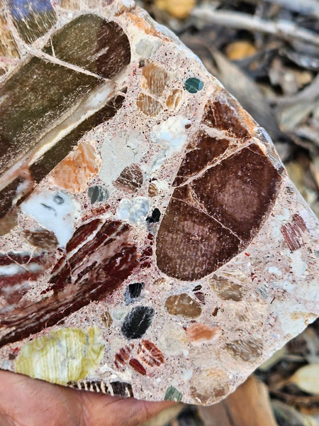 Polished Marillana Conglomerate slab MC121