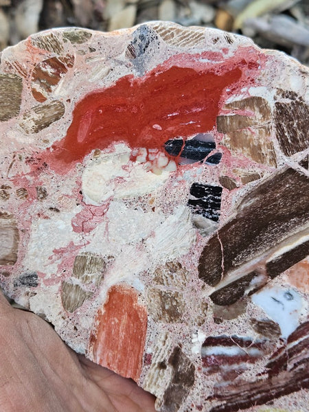 Polished Marillana Conglomerate slab MC121