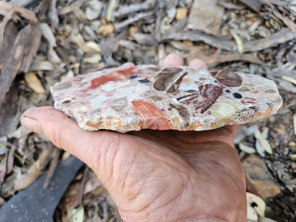 Polished Marillana Conglomerate slab MC121