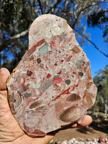 Polished Marillana Conglomerate slab MC120