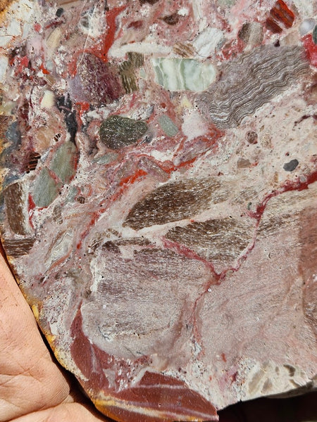 Polished Marillana Conglomerate slab MC120