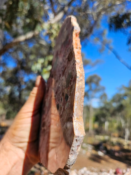 Polished Marillana Conglomerate slab MC120