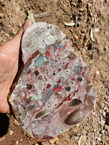 Polished Marillana Conglomerate slab MC120