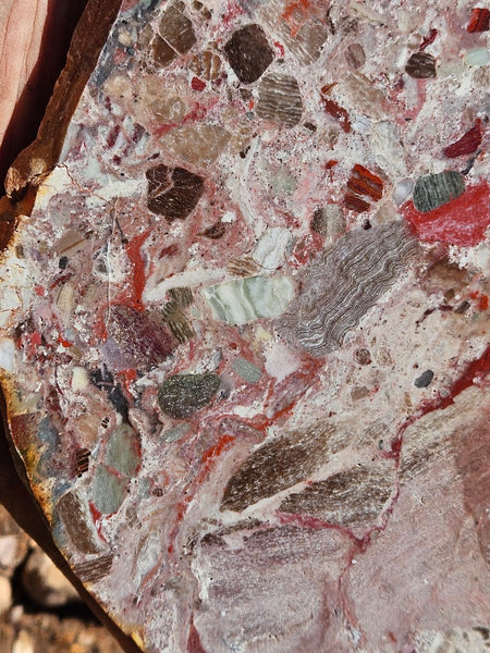 Polished Marillana Conglomerate slab MC120