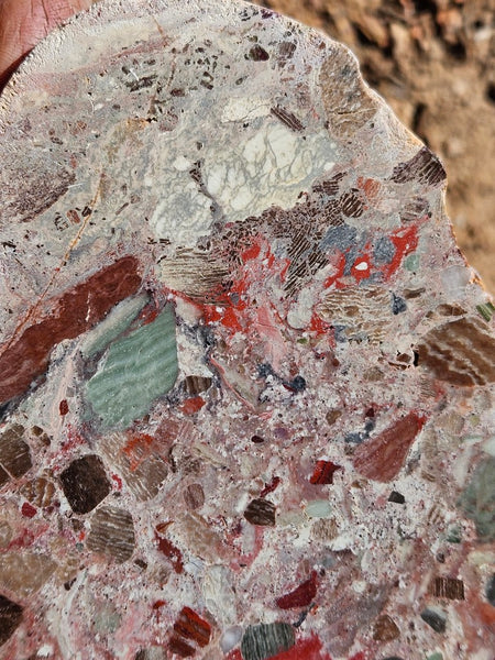 Polished Marillana Conglomerate slab MC120