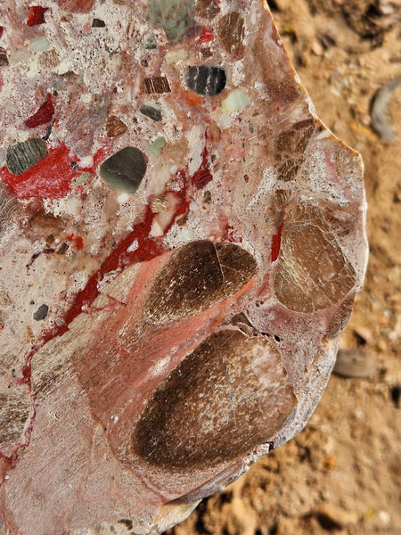 Polished Marillana Conglomerate slab MC120