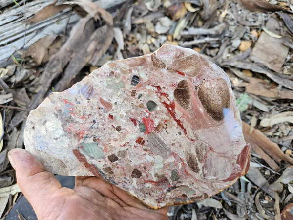 Polished Marillana Conglomerate slab MC120