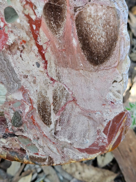 Polished Marillana Conglomerate slab MC120