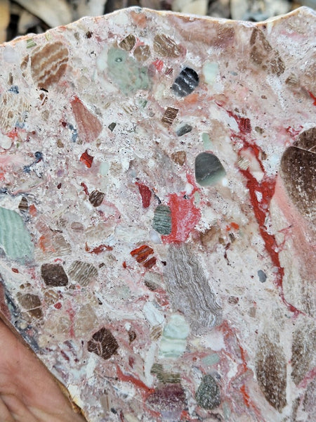 Polished Marillana Conglomerate slab MC120