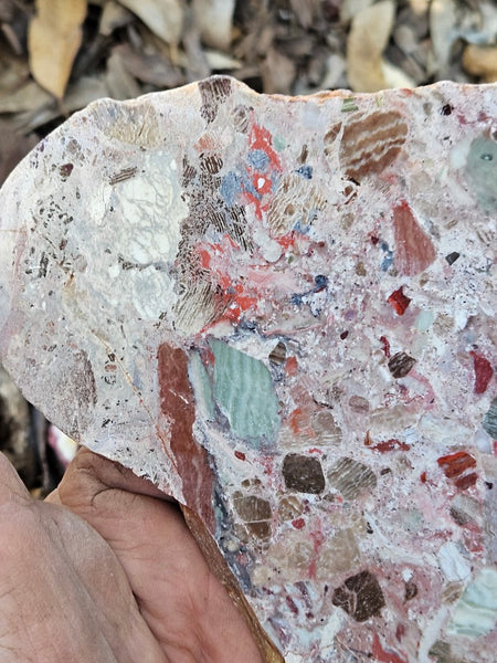 Polished Marillana Conglomerate slab MC120