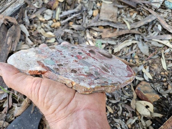 Polished Marillana Conglomerate slab MC120