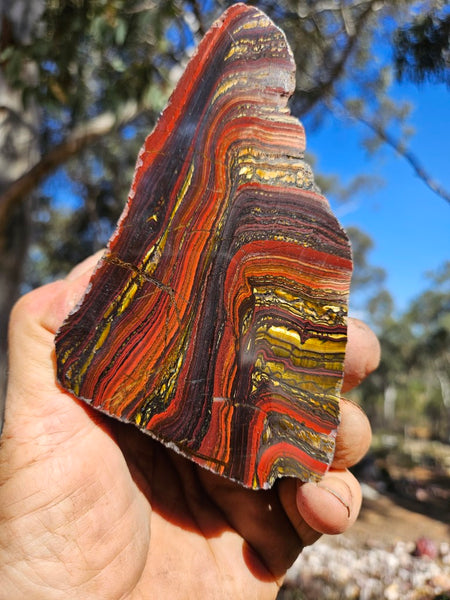 Polished Tiger Iron  TI387