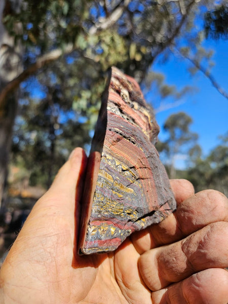 Polished Tiger Iron  TI387