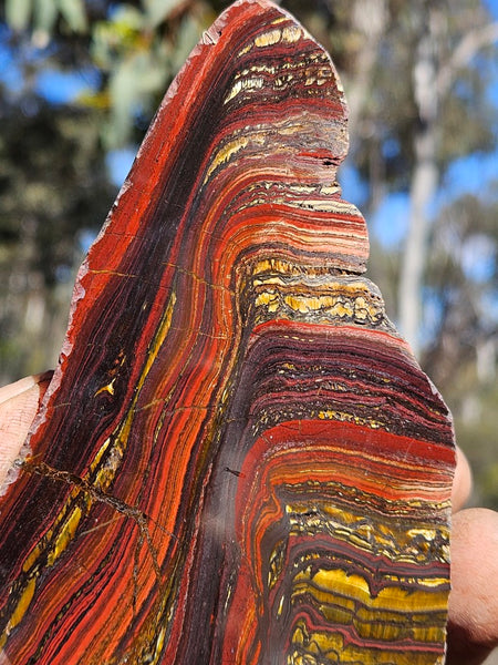 Polished Tiger Iron  TI387