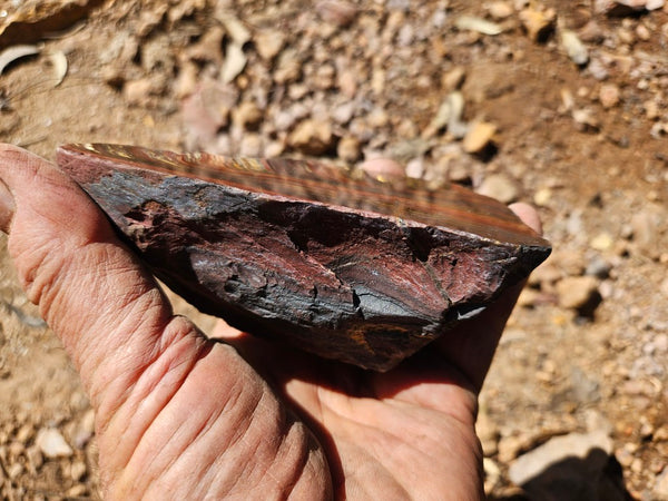 Polished Tiger Iron  TI387