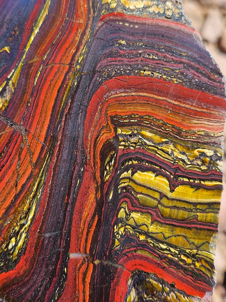 Polished Tiger Iron  TI387