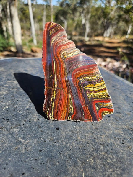 Polished Tiger Iron  TI387