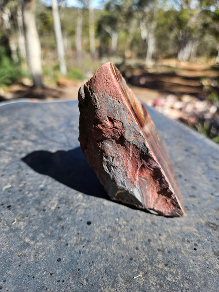 Polished Tiger Iron  TI387