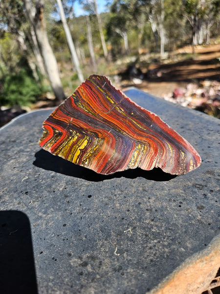 Polished Tiger Iron  TI387