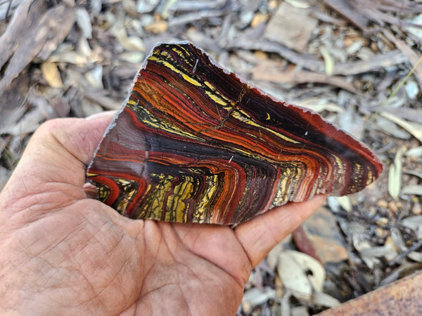 Polished Tiger Iron  TI387