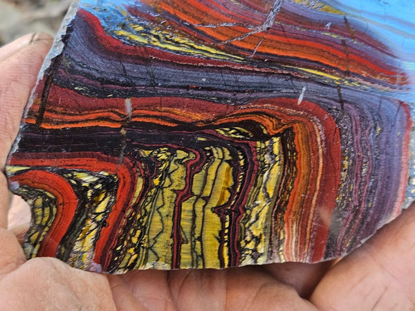 Polished Tiger Iron  TI387