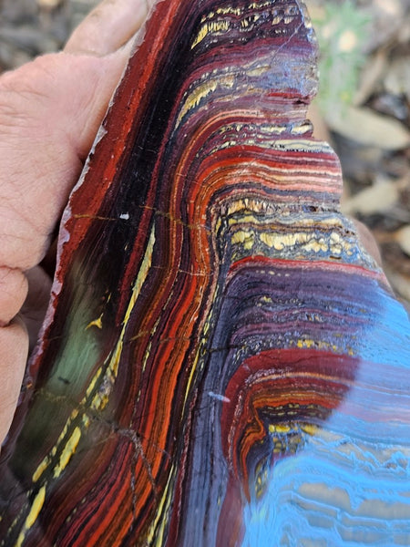 Polished Tiger Iron  TI387