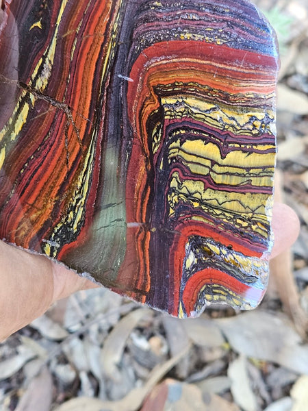 Polished Tiger Iron  TI387