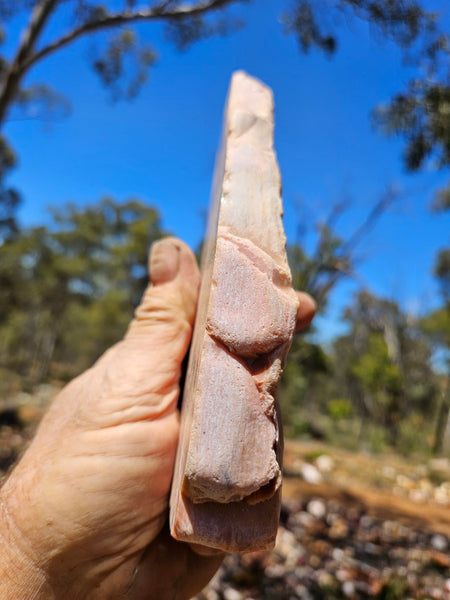 Polished Pink Opal  POP207