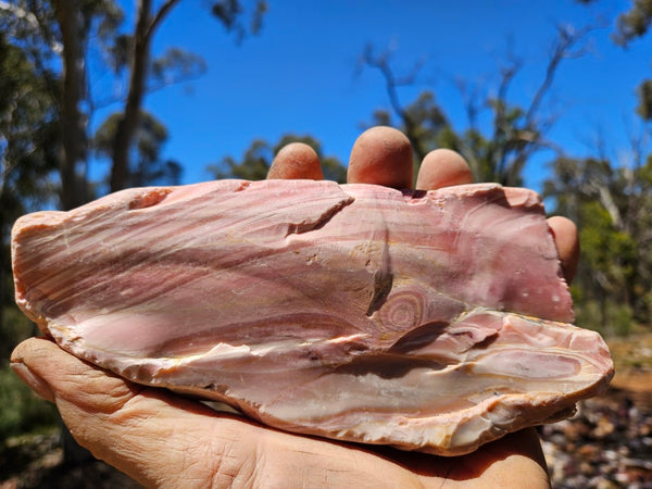 Polished Pink Opal  POP207