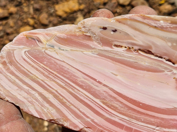 Polished Pink Opal  POP207