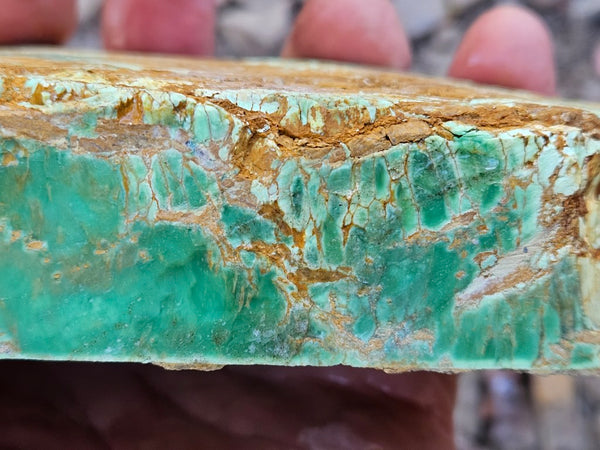 Variscite rough. VR609