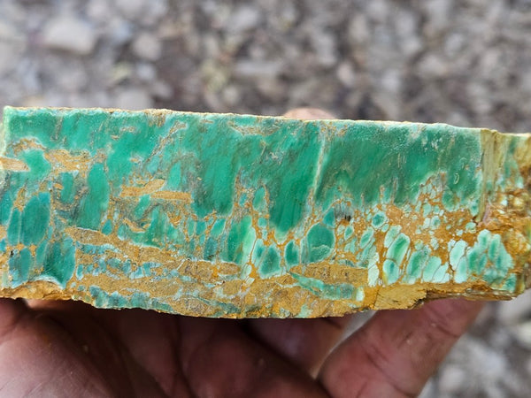 Variscite rough. VR609
